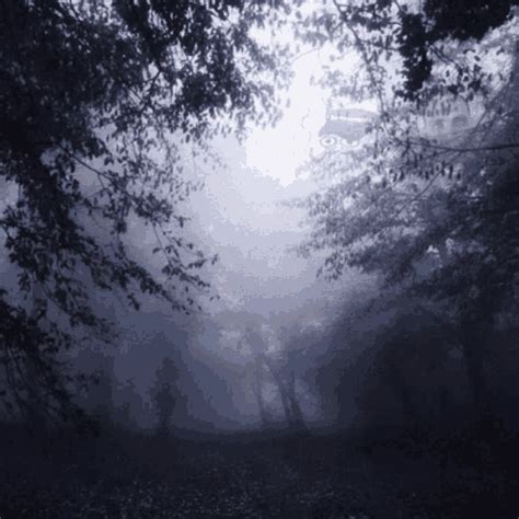 dark gif|dark forest with waterfall aesthetic gif.